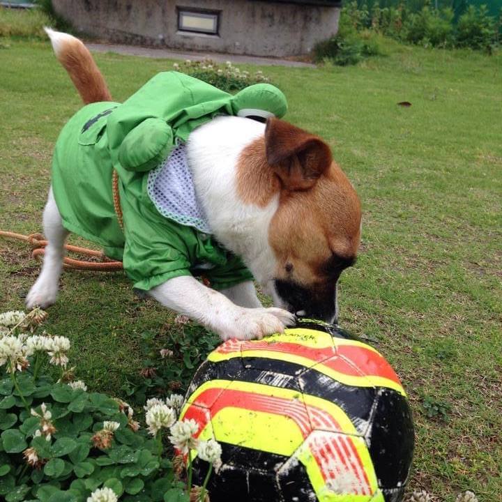 00d56b5c 3897 464b b6b1 9324015a40df 1654472094987