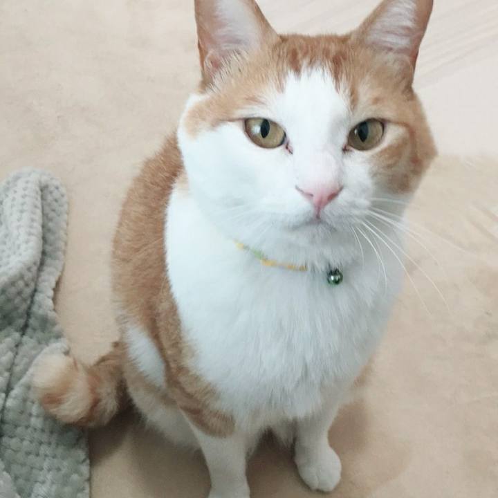 00d58577 7c50 4d49 8287 9e446bf0c291 1525917836703