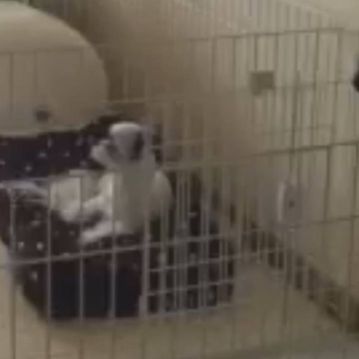 00d59431 145d 49fd 991a ed13e2a8b628 1514420852316