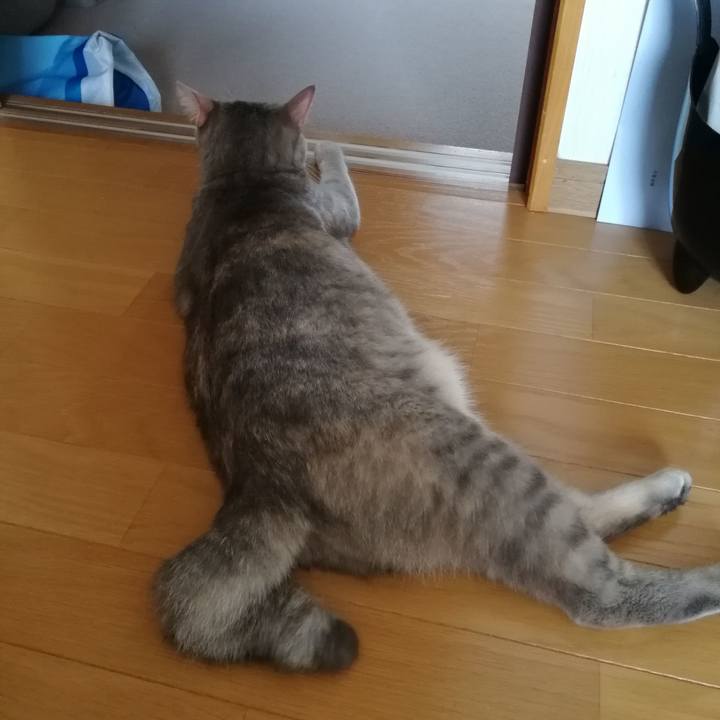 00d5b71b 64b0 4bbb a330 48a53025e641 1522587827776