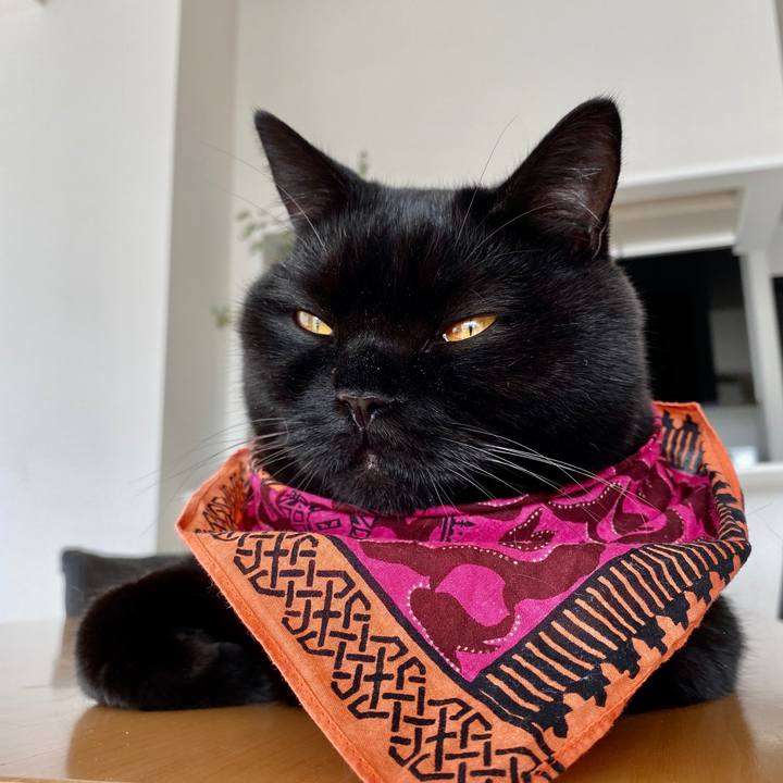 00d5dc84 a158 4842 9ff0 0f34f298d24a 1602714442173