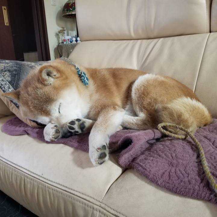 00d5edf7 af3a 48b8 8ac4 bbade54ad8c5 1707520302658