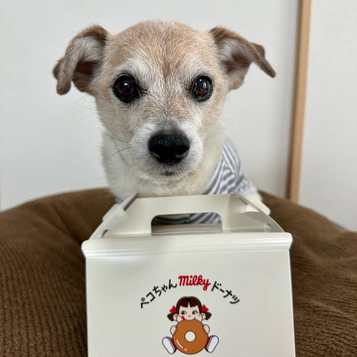 00d60750 19dd 4088 976e f4e48e2e32f0 1745819106106