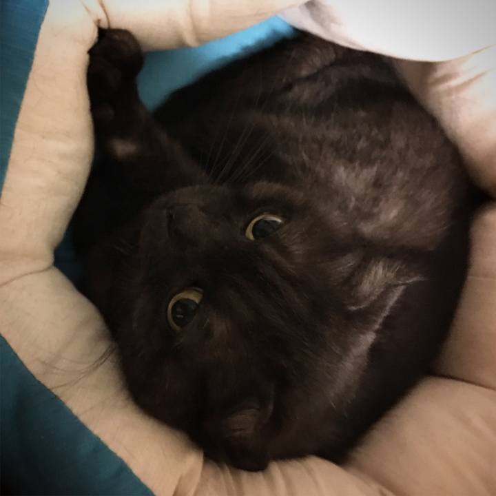 00d61ee4 16fd 4833 a74c fa02edb93e3d 1569501325712