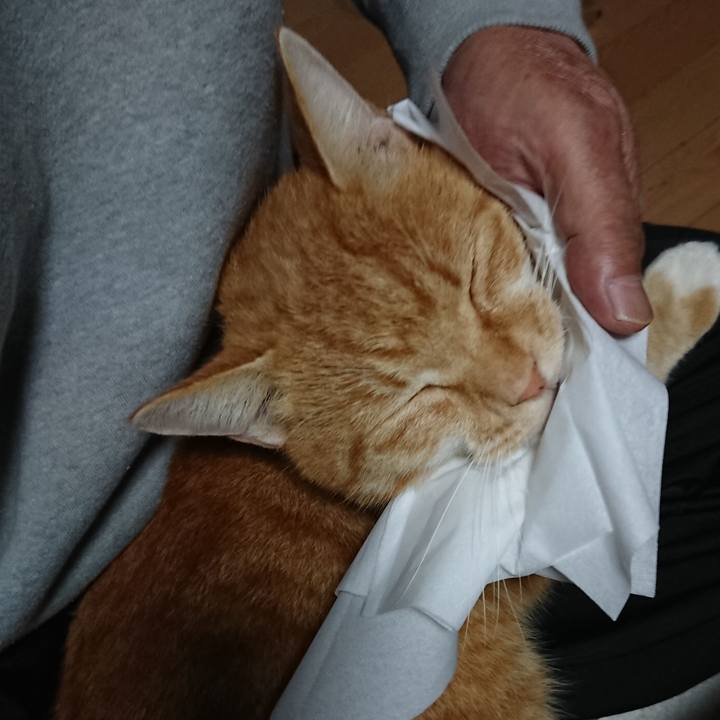 00d61f28 c08f 4392 8469 191dfbaa74f4 1604435062269