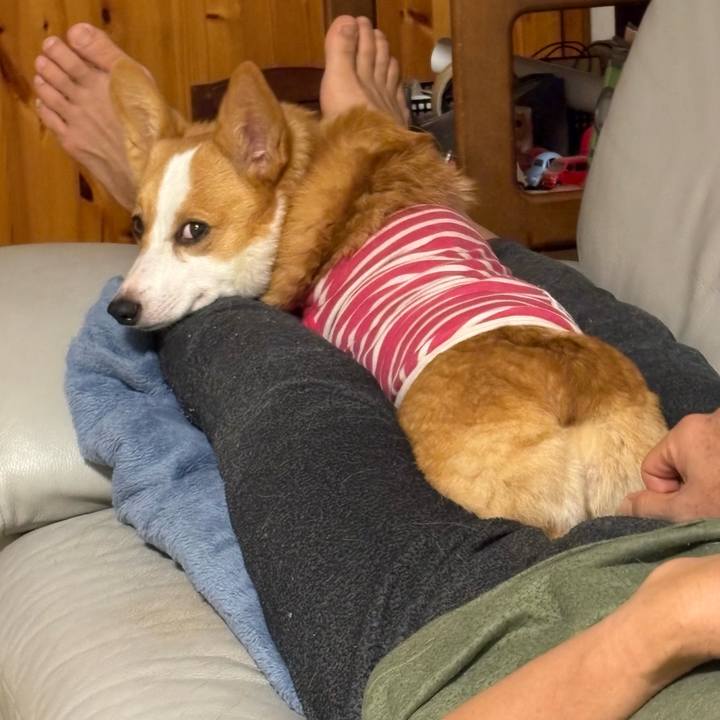 00d62d3e 0c16 430c 92c2 1f87210bf295 1772105819614