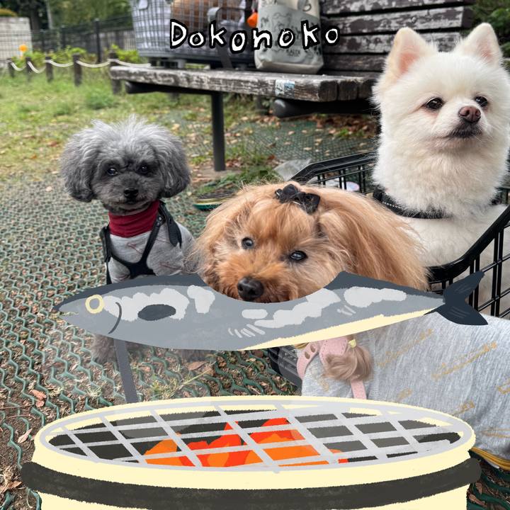 00d662eb 984c 4ab9 976f ccb0ef5e2844 1762645139717