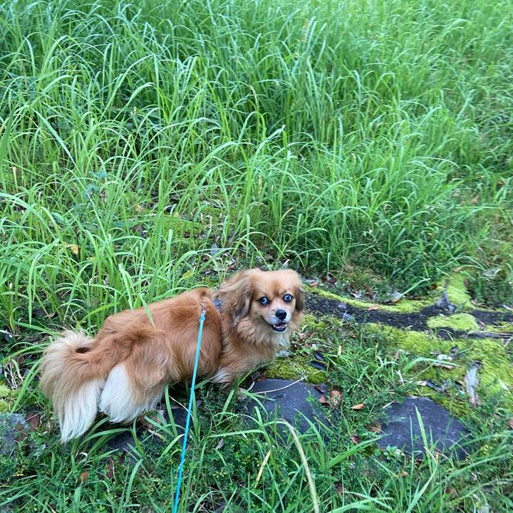 00d679e7 18cc 455e b3d3 a01af85be538 1600206895356