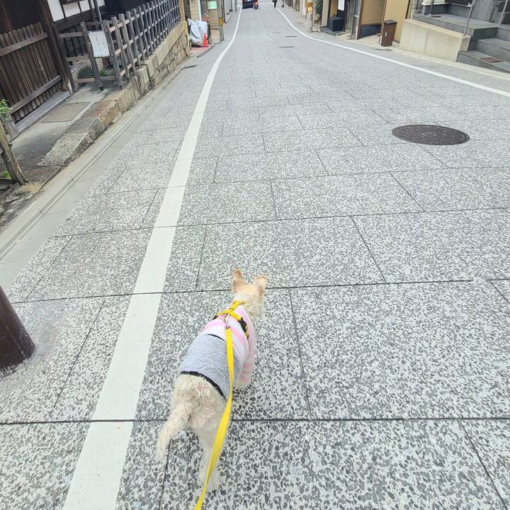 00d68504 3aa9 4d22 8b56 f248bc665092 1708135951322