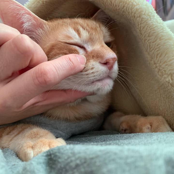 00d6c73d 4c7c 422c b7df c86cf38e426a 1615680697850