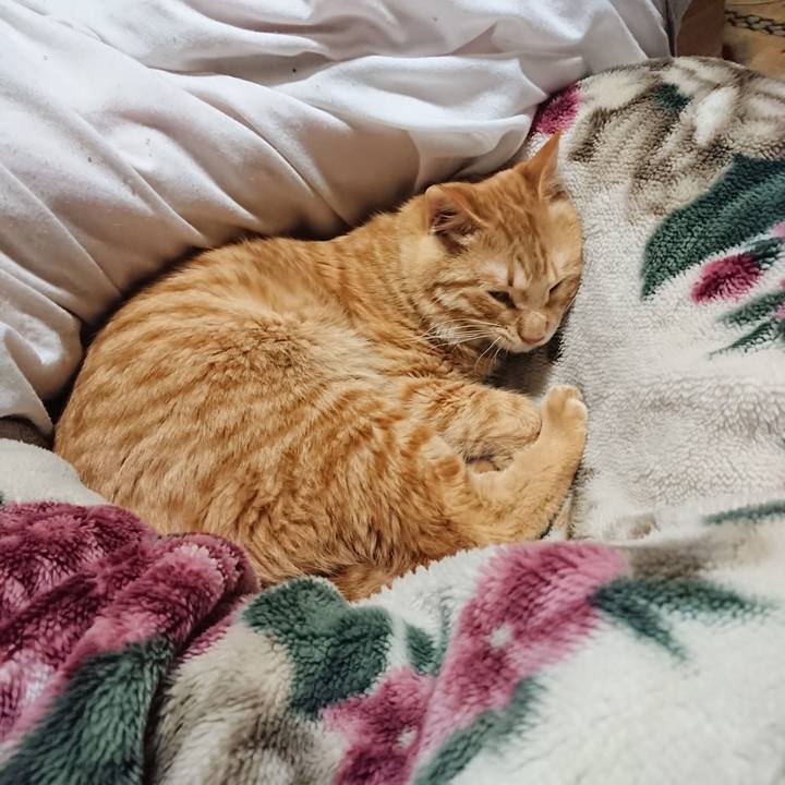 00d6d1a9 7bf2 4070 a16f 3b669b9d9e0f 1643980425957