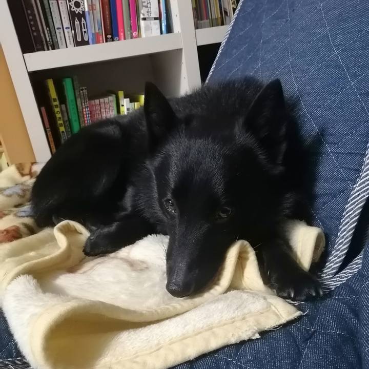 00d6edaa b016 4634 9158 16eda9d1ee2d 1617106258774