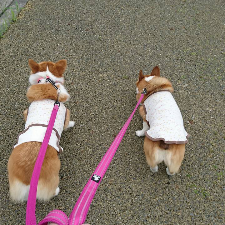 00d6eeee c08f 4349 9759 a4b9eafe571b 1525759853706