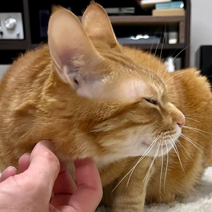 00d77f25 71ea 4633 91cd fff0d9362eab 1676719047178