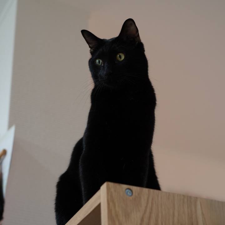 00d796c3 0d4a 40cc a40e 7f714f1ad41e 1571788362798