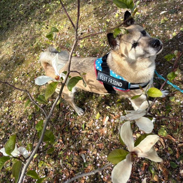 00d7a30d 2e76 46b0 bd71 7feb5f59b5c6 1744547561968