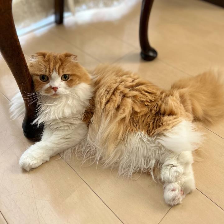 00d7add1 f174 497c afde c0263ea41e74 1687149819736