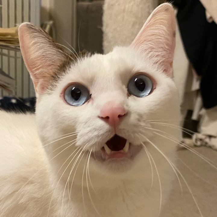 00d7ba94 75ba 4a44 aefb c4d306e2833b 1672704710904