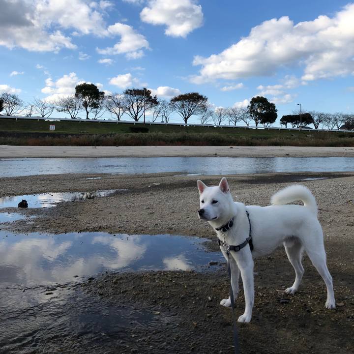 00d7eb11 6a8a 46b9 a925 961b94eb7d8a 1573727434928