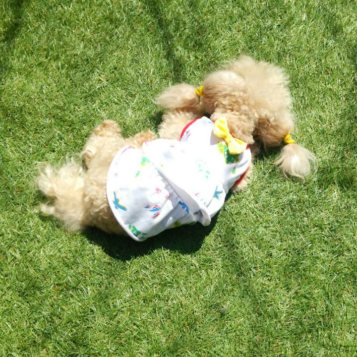 00d7f34b 2656 4276 89e9 765d53c1bc43 1555561079012