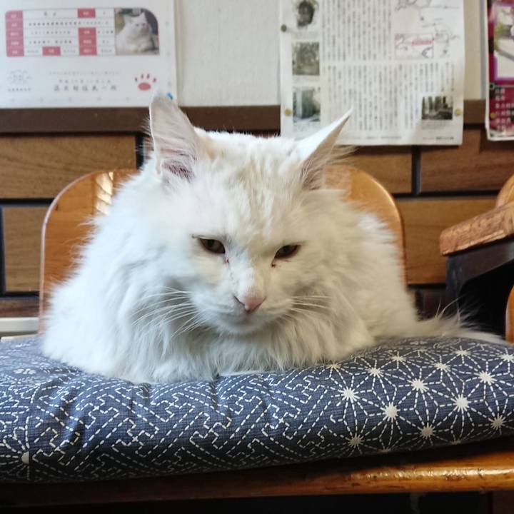 00d81d9d 9a11 4f08 a96d de50e1d09375 1550442008341