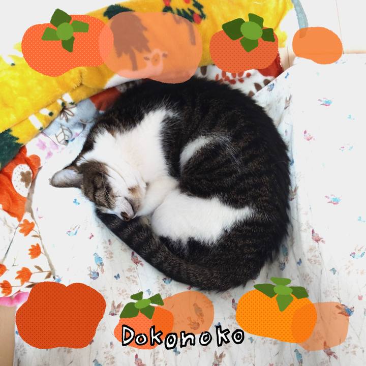 00d84e19 6ec0 4066 93b9 7d9276060db9 1761997599824