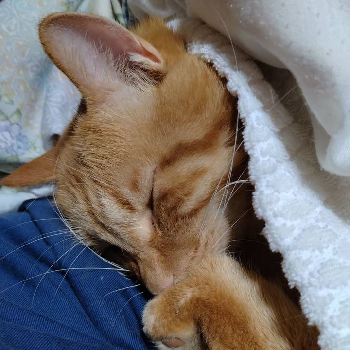 00d8b2c3 a130 437c 8901 17bae5e4f5db 1699361297004