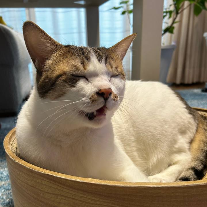 00d8d082 1764 4e18 918b e5edb1242557 1755469403525