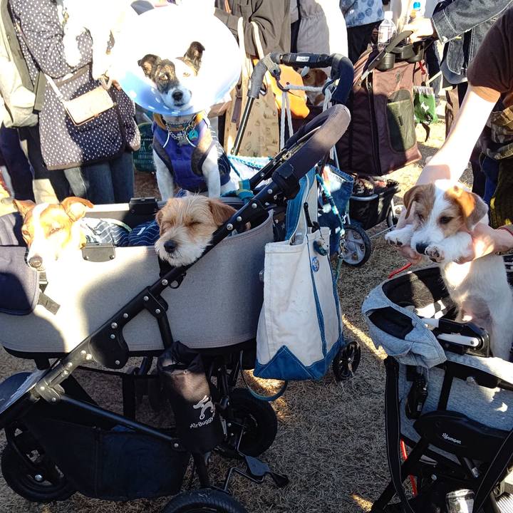 00d8ea54 a0a3 4d16 aef3 92c3fb6ef363 1669552987747