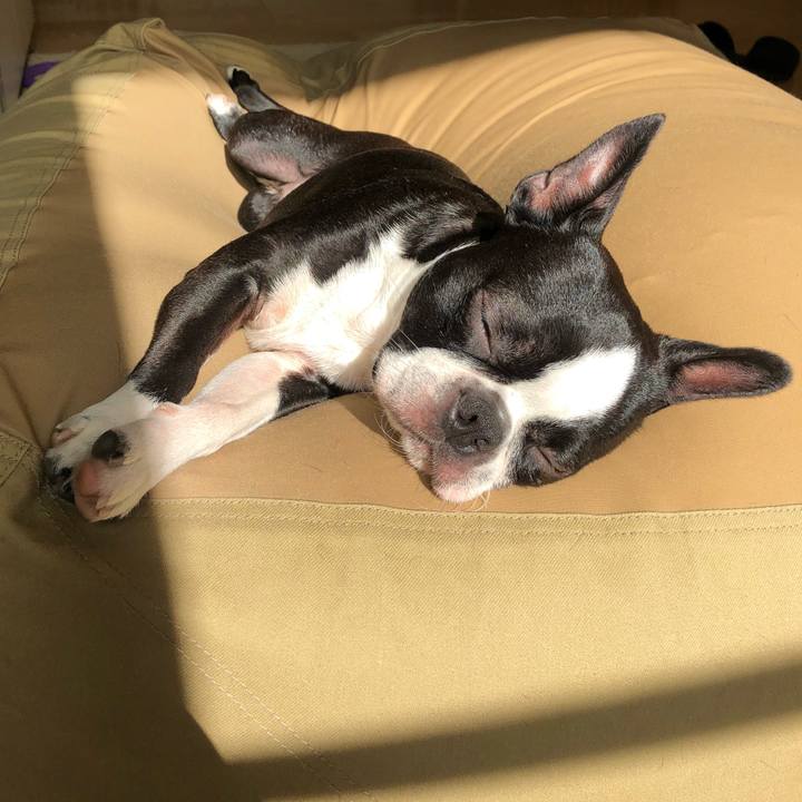 00d8f158 cddd 4049 8eac b40e4be771a6 1527894908933