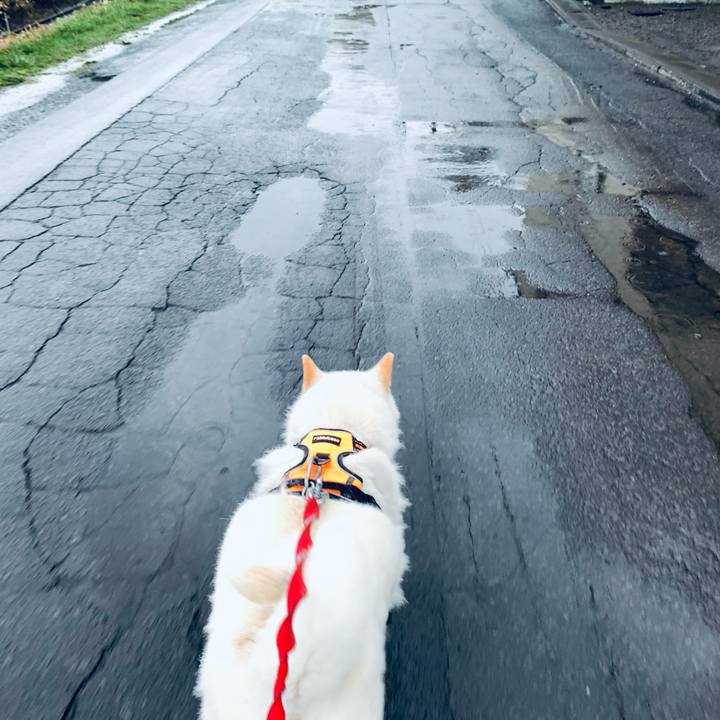 00d8fb7f ed17 4209 b954 09b07548a1df 1619728737151