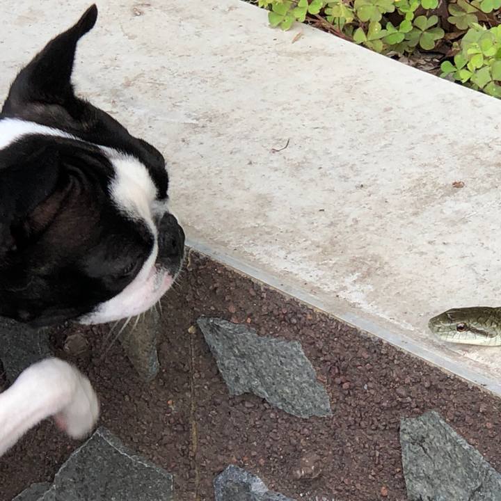 00d90081 a12b 4559 804a bc3b86911829 1559971439594