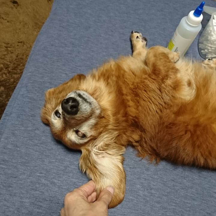 00d92906 99c1 4fc7 9bb0 426158fbe709 1575133917052