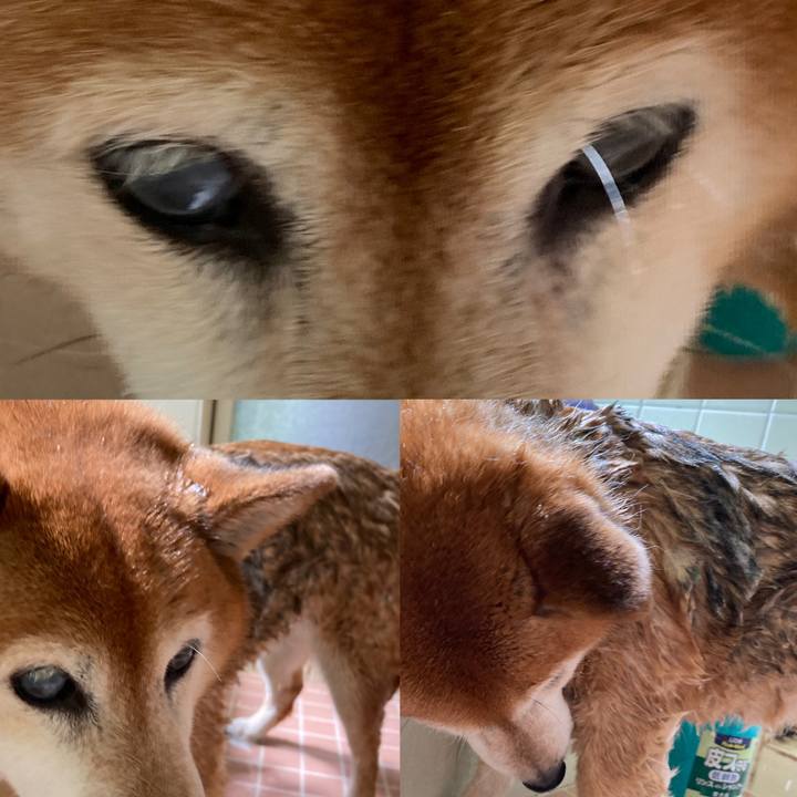 00d98bcb 2543 4890 bf7c 2bd519e108bd 1686978513303