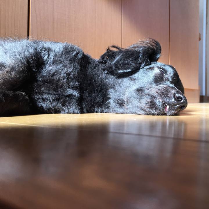 00d9aa64 19e8 4f4f aa4e 6c5ed3e7d2e9 1510786323829