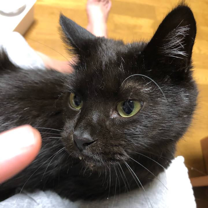 00d9acf0 c1fc 44a2 8c72 4dd766137c5c 1599576659699