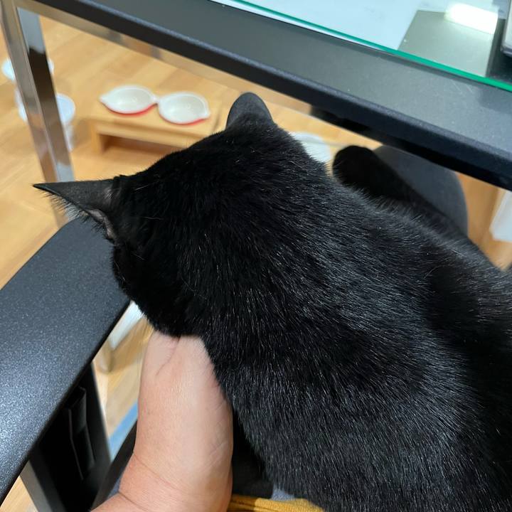 00da1360 df75 45e7 b5c4 248c708497e9 1663717698196