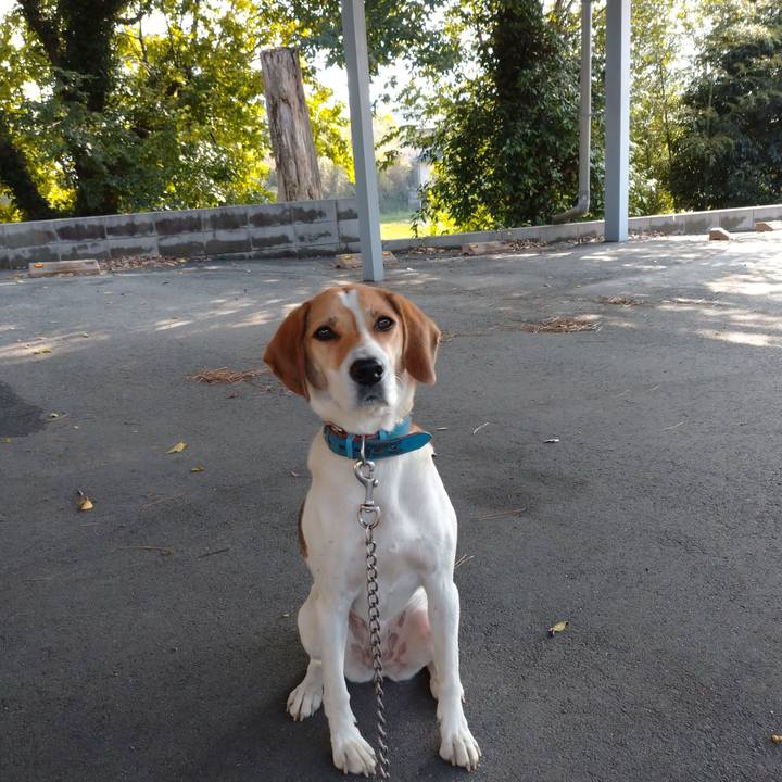 00da198f 0480 4746 9091 2f5895f33e69 1604807371005