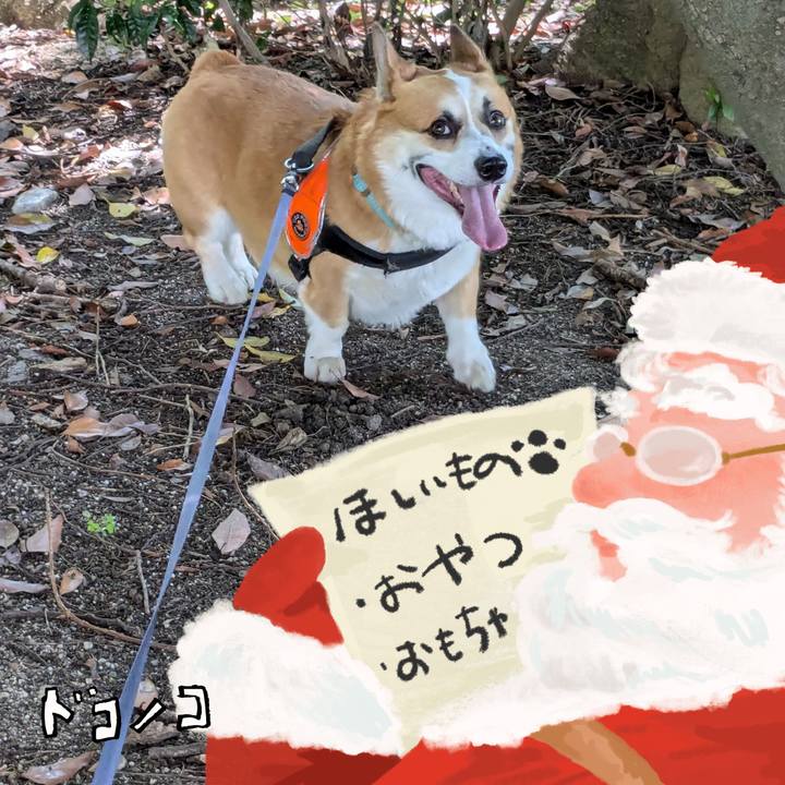 00da25d5 d759 4428 a156 b9a52413c3ca 1729249928925