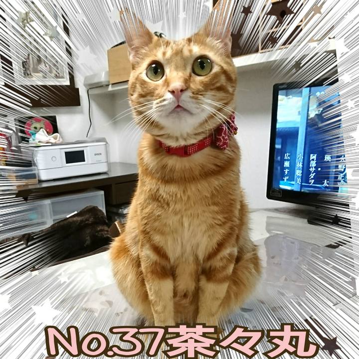 00da33a6 c69b 46f4 af97 5ed49ec81b16 1523709392371