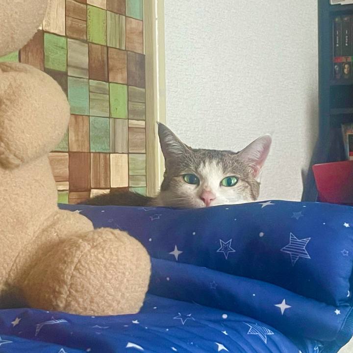 00da448e 4e85 41bb acfd 473a9e50cd9b 1629590036339