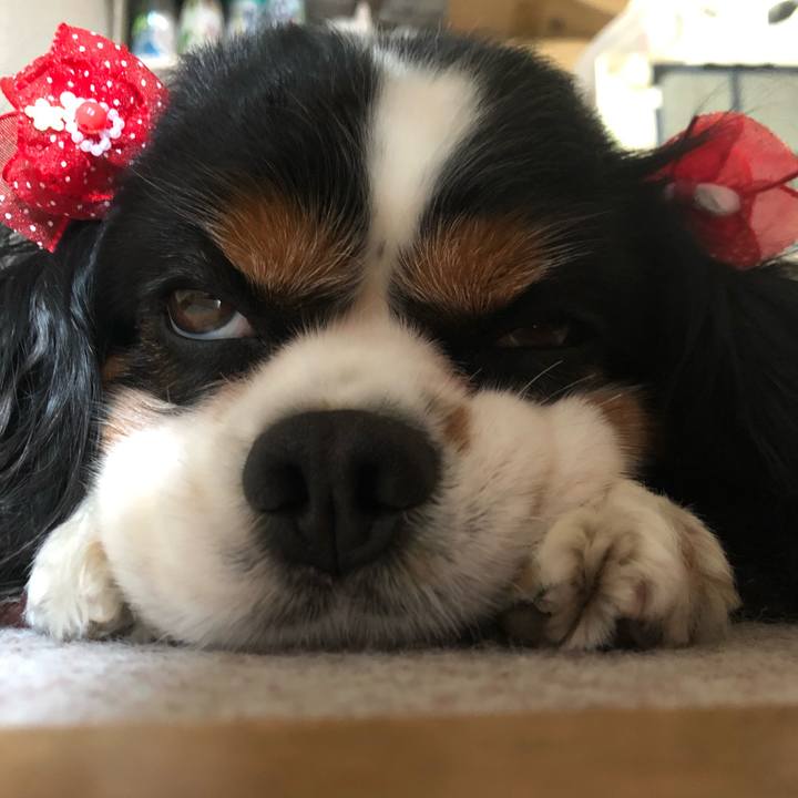 00da618f 4092 4baf 9a13 d3516f7b828b 1559822703029