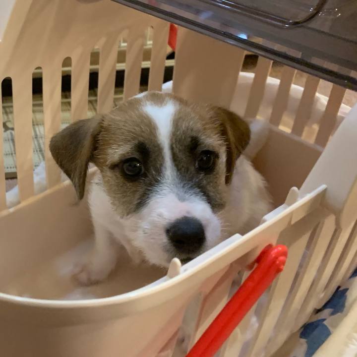 00dac274 6f6a 49e7 9671 a5221ba321f6 1619226337348