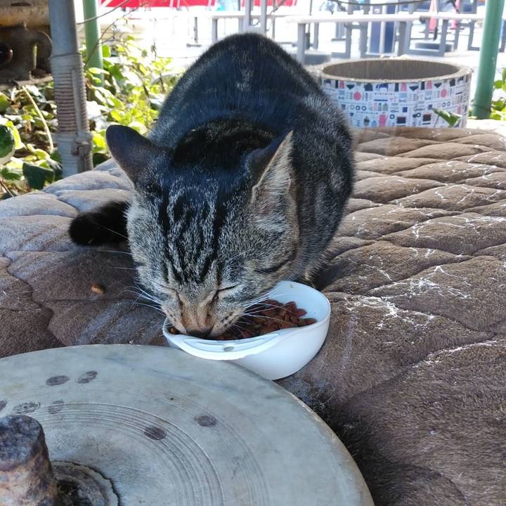 00dae365 039b 4f68 9b09 089da668a12d 1605236418591