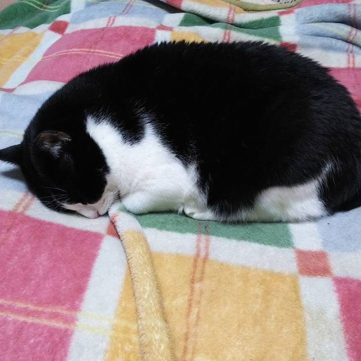 00daf896 85e7 4e3f 82ce 110d6b8546e4 1542146001548