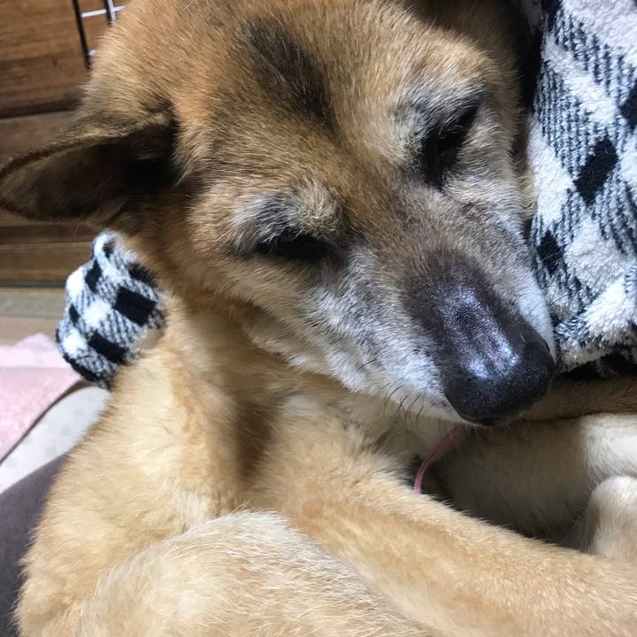 00dafe16 a9d5 4a88 959c a94c8ca7e4eb 1556317868718