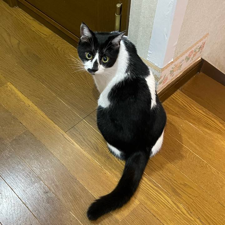 00db0116 cb26 4bfe 84d4 e1dacb372aab 1757026116520