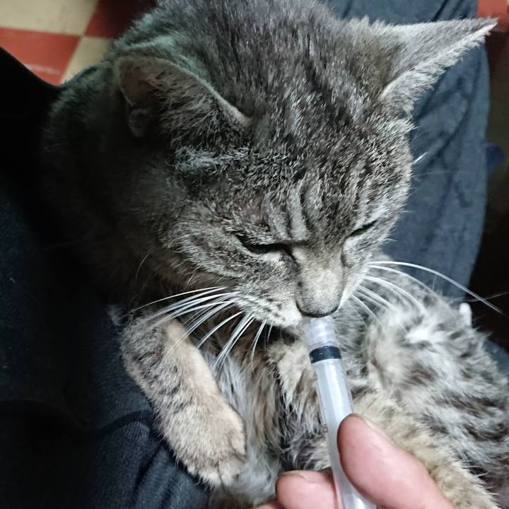 00db3cbc 4070 4d23 8a7c 0e18ad5ac9c4 1578693199585