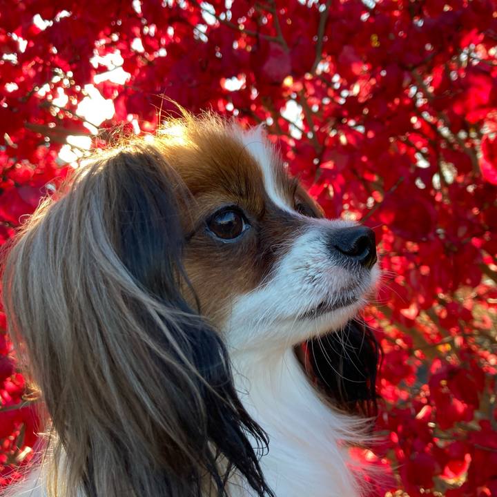 00db7613 78bd 4fd2 9ca6 07fce56668a0 1635570284928