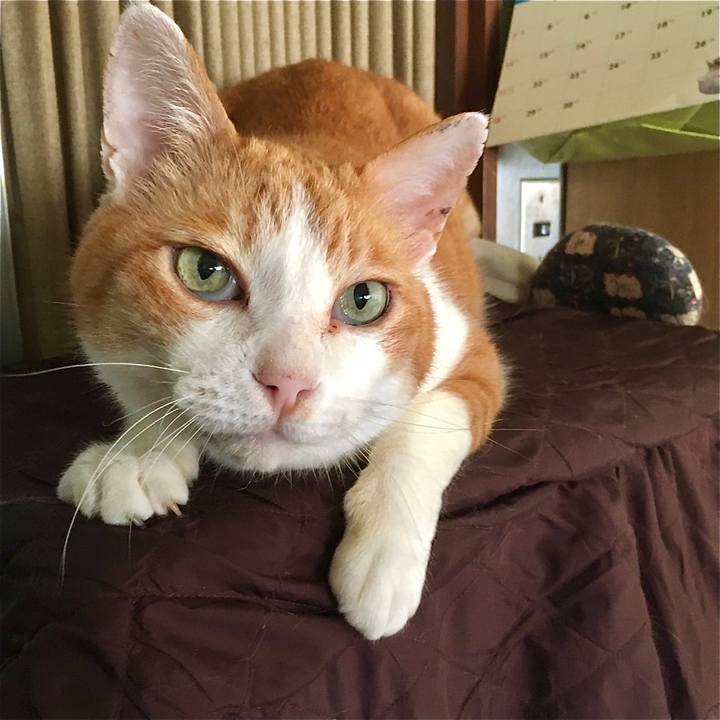 00db8f4c 1a96 458d 9b14 df539bc459d6 1592642534733